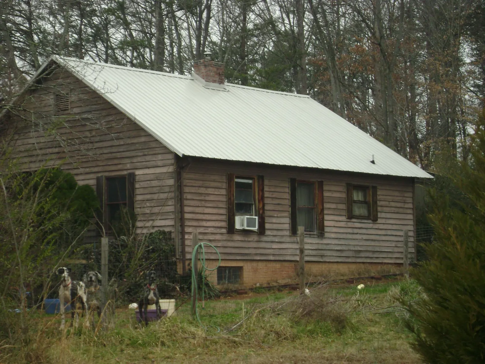 White metal roof on an old wood sided farmhouse, from a Asphalt Shingle Roof Repair job in Poolville